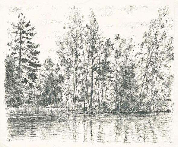 Деревья у озера